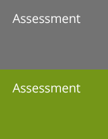 Assessment